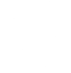 Carbon construction
